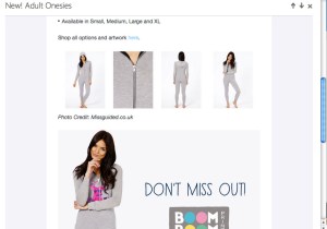 Screenshot of the e-mail notification.